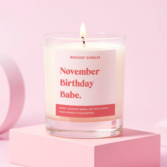 November Birthday Gift Funny Gift Candle November Birthday Babe