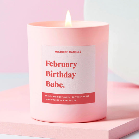 February Birthday Gift Funny Gift Candle February Birthday Babe