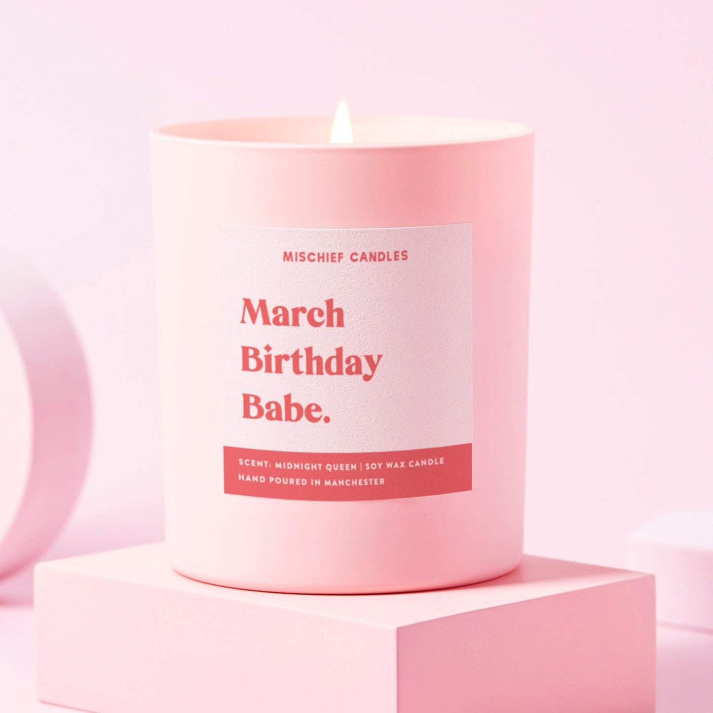 March Birthday Gift Funny Gift Candle March Birthday Babe