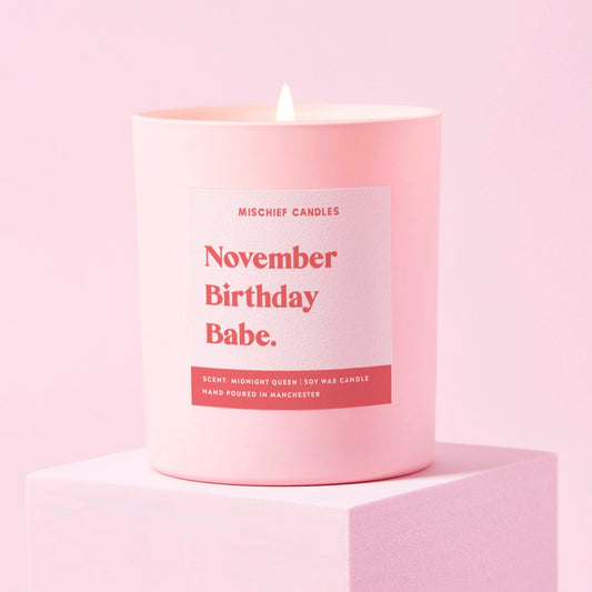 November Birthday Gift Funny Gift Candle November Birthday Babe