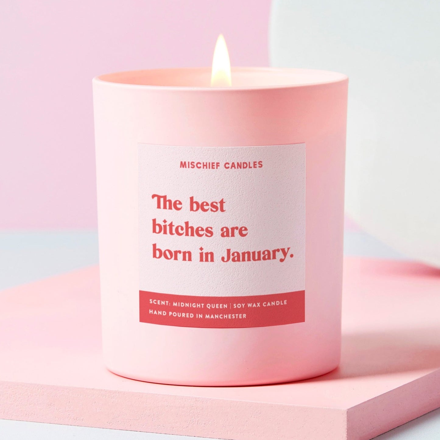 January Birthday Gift Funny Birthday Gift Candle January Birthday Bitch