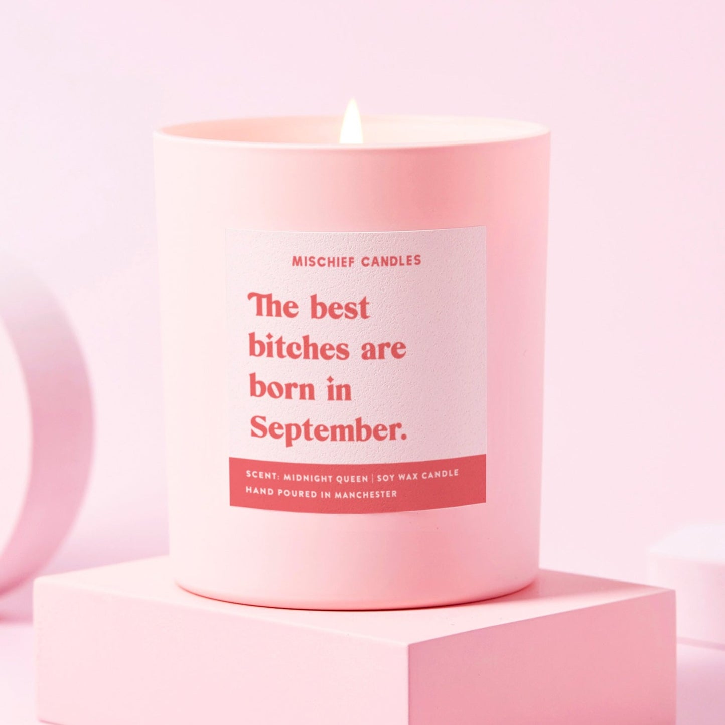 September Birthday Gift Funny Birthday Gift Candle September Birthday Bitch