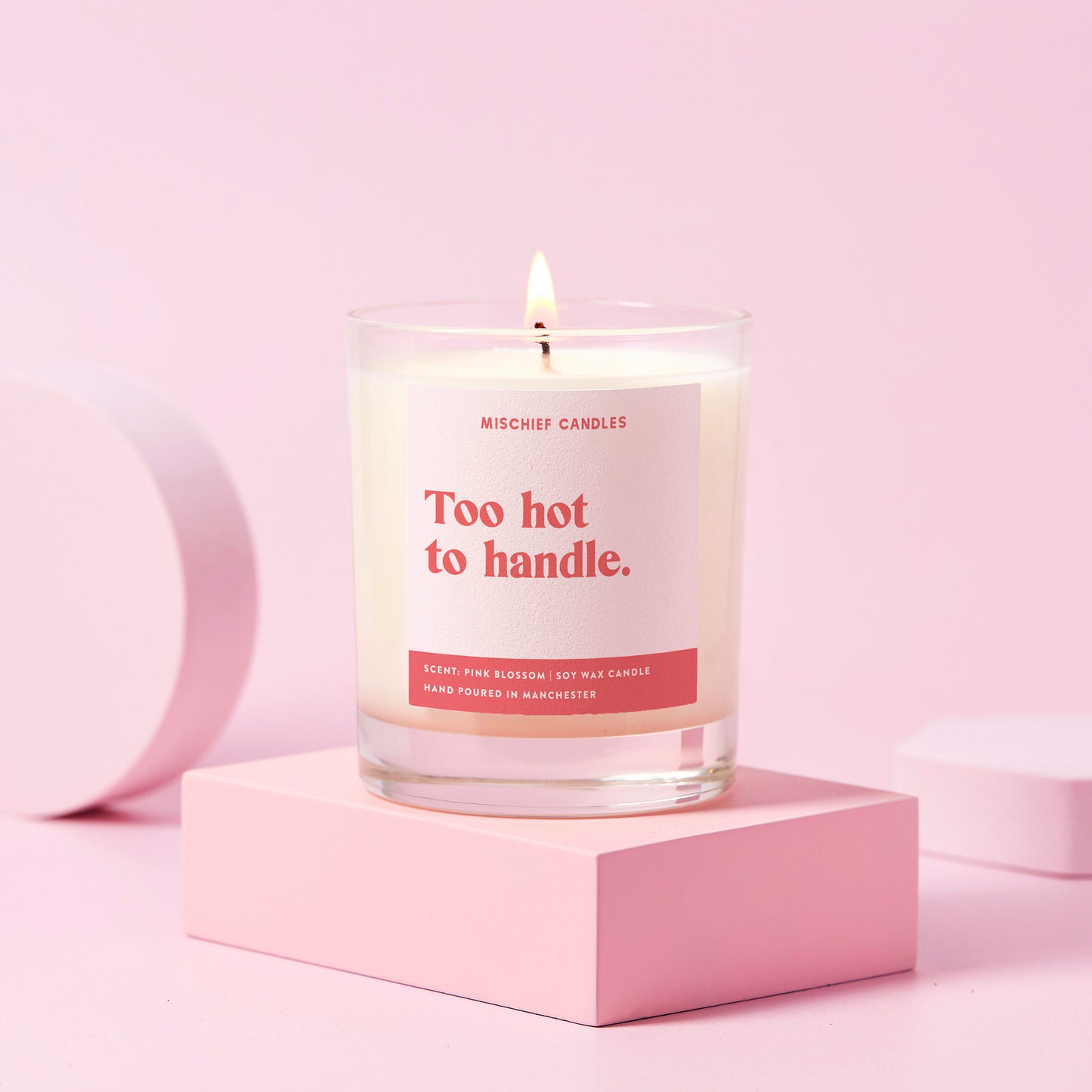 Too Hot to Handle Funny Friendship Gift Funny Candle