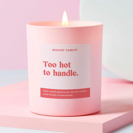 Too Hot to Handle Funny Friendship Gift Funny Candle