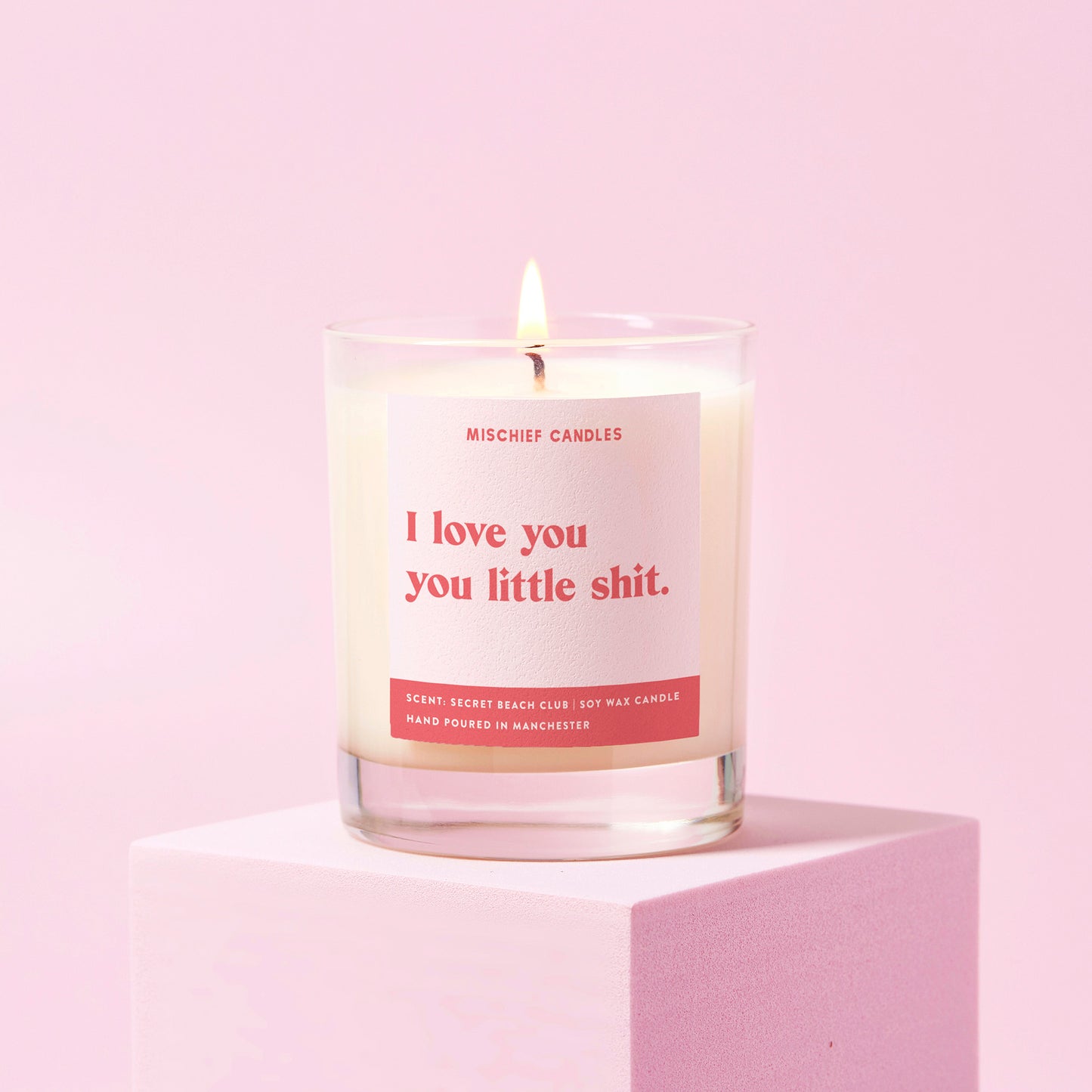 Girlfriend Boyfriend Gift Love You Little Shit Funny Candle