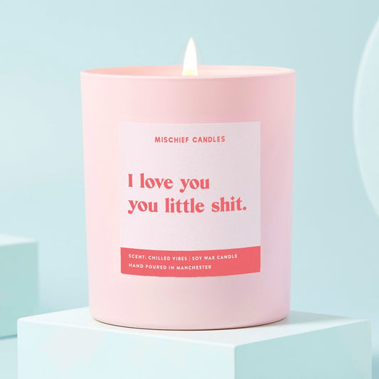 Girlfriend Boyfriend Gift Love You Little Shit Funny Candle