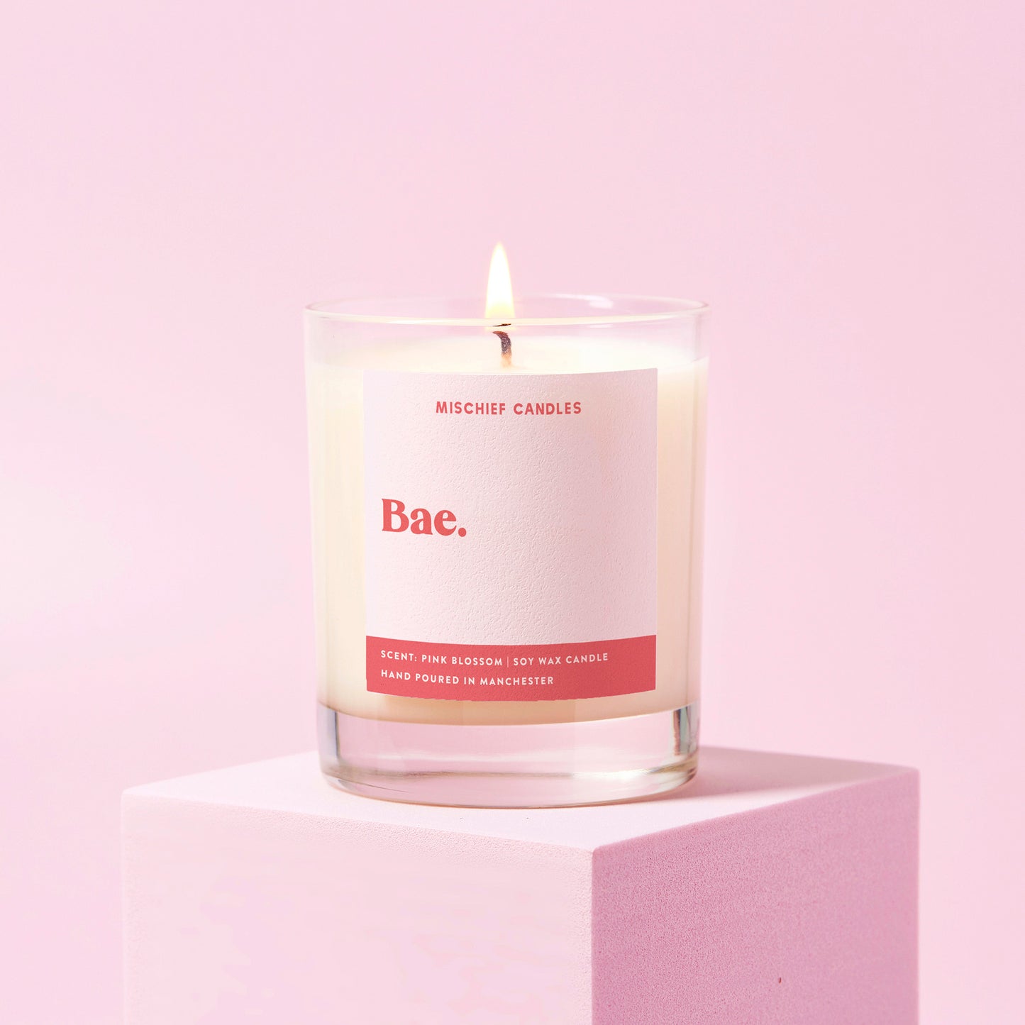 Bae Friendship Gift For Her Funny Candle