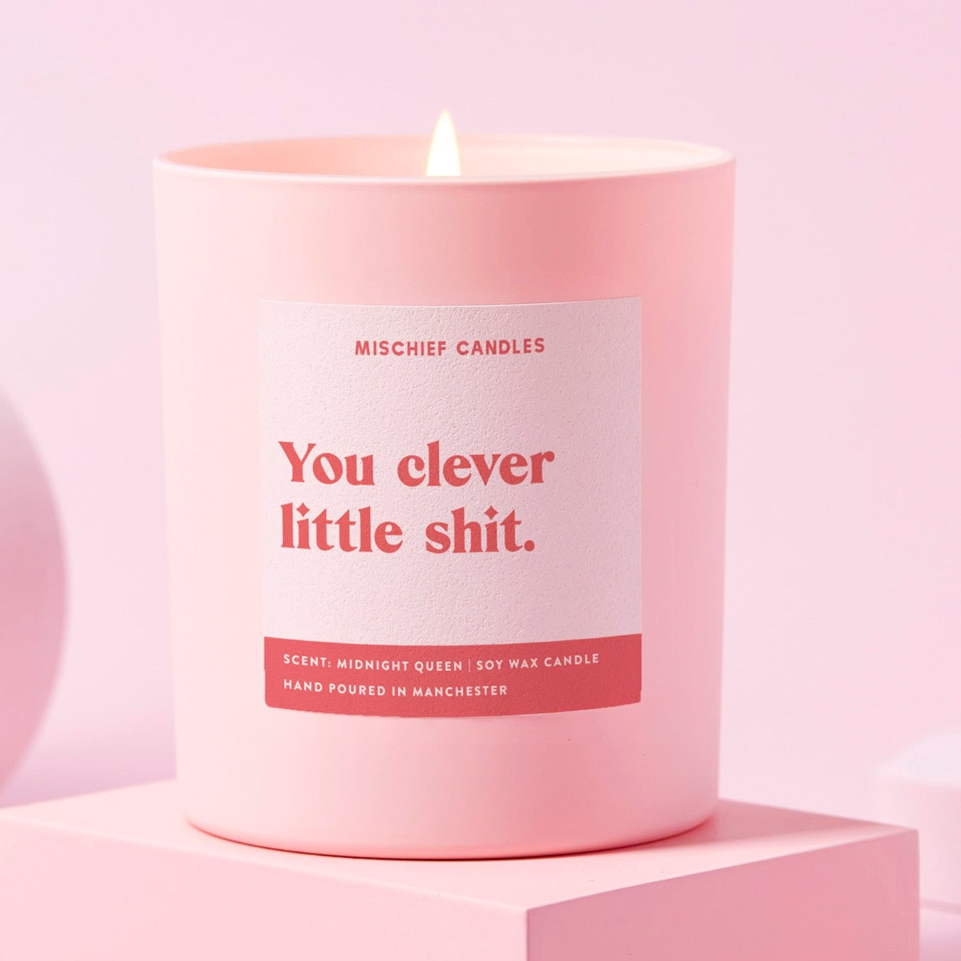 Well Done Gift Funny Well Done Gift Candle Clever Little Shit ...